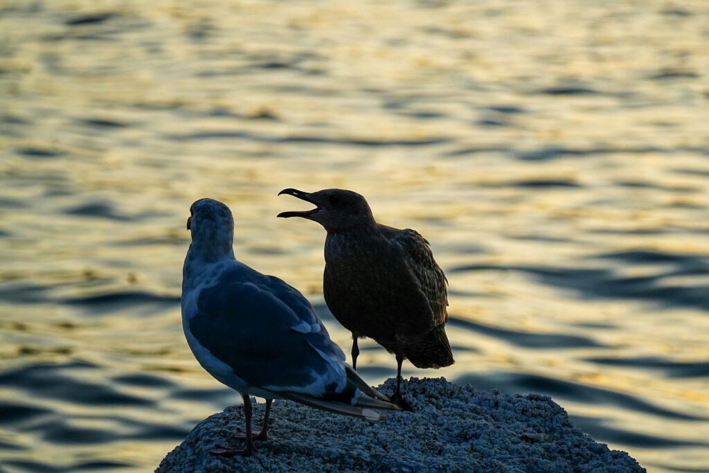 Angular Communication: A Simple Way Now